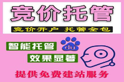 案例对比：SEM竞价专员不同策略效果